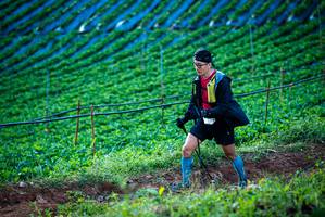 BIB: 
                            <button type="button" onclick="openModal(19160079)" class="btn btn-primary btn-sm float-right btn-popup" data-toggle="modal" data-target=".modal-high-quality">
                        <i class="fas fa-shopping-cart"></i> Add to Cart
                    </button>
                                            <button type="button" onclick="isThisMe(19160079, true)" class="btn btn-success btn-sm float-right btn-popup btn-isme hidden" data-toggle="tooltip" data-placement="bottom" title="นี่คือรูปของคุณใช่ไหม คลิกที่นี่เพื่อเอาเข้าอัลบั้ม">
                        <i class="fas fa-plus"></i> Add to album
                    </button>
                    <button type="button" onclick="isThisMe(19160079, false)" class="btn btn-warning btn-sm float-right btn-popup btn-isnotme hidden">
                        <i class="fas fa-ban"></i> Remove from album
                    </button>